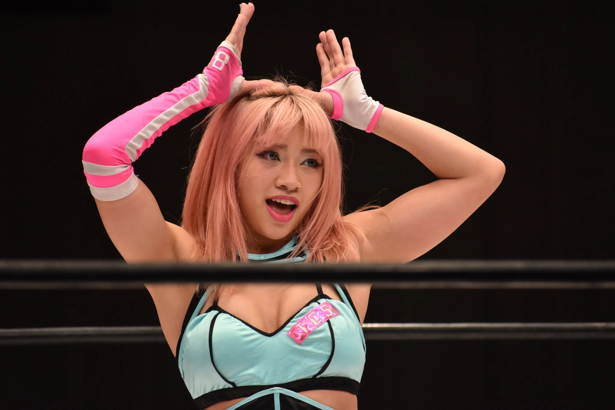 Bushiroad opens door for future women’s division in NJPW