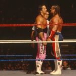 Pro wrestling