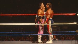 Pro wrestling