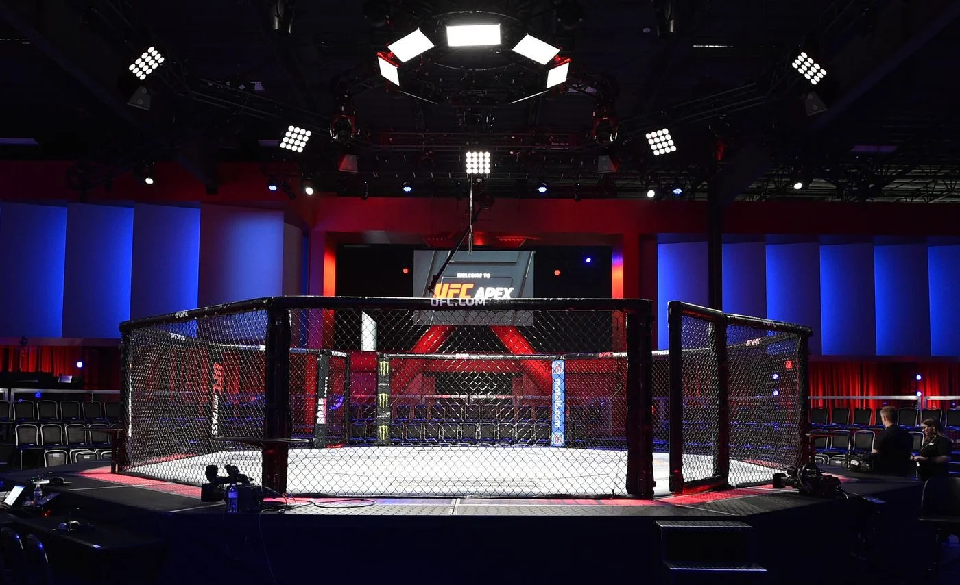 The Smaller Octagon vs. Regular Size Octagon