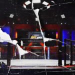 UFC Octagon