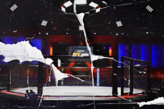 UFC Octagon