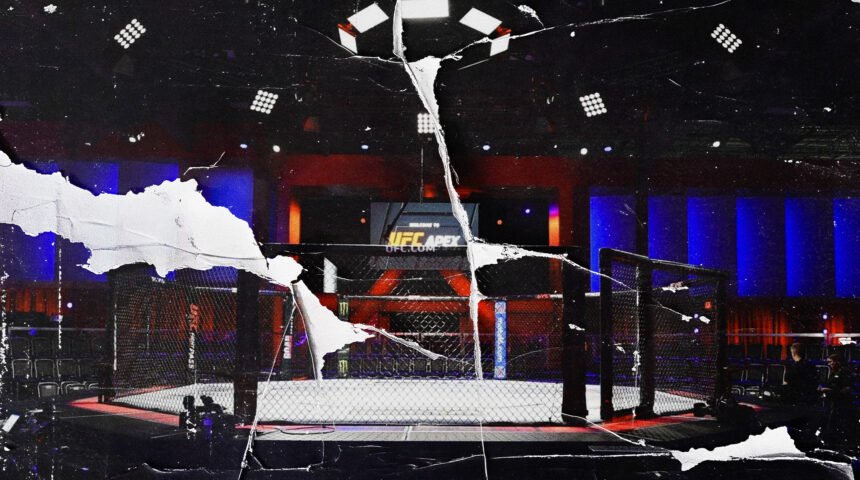 UFC Octagon