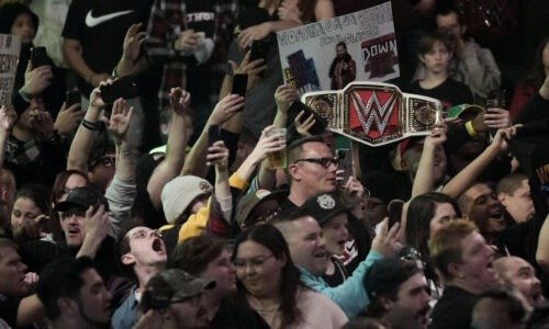 The Evolution of the Pro Wrestling Fan