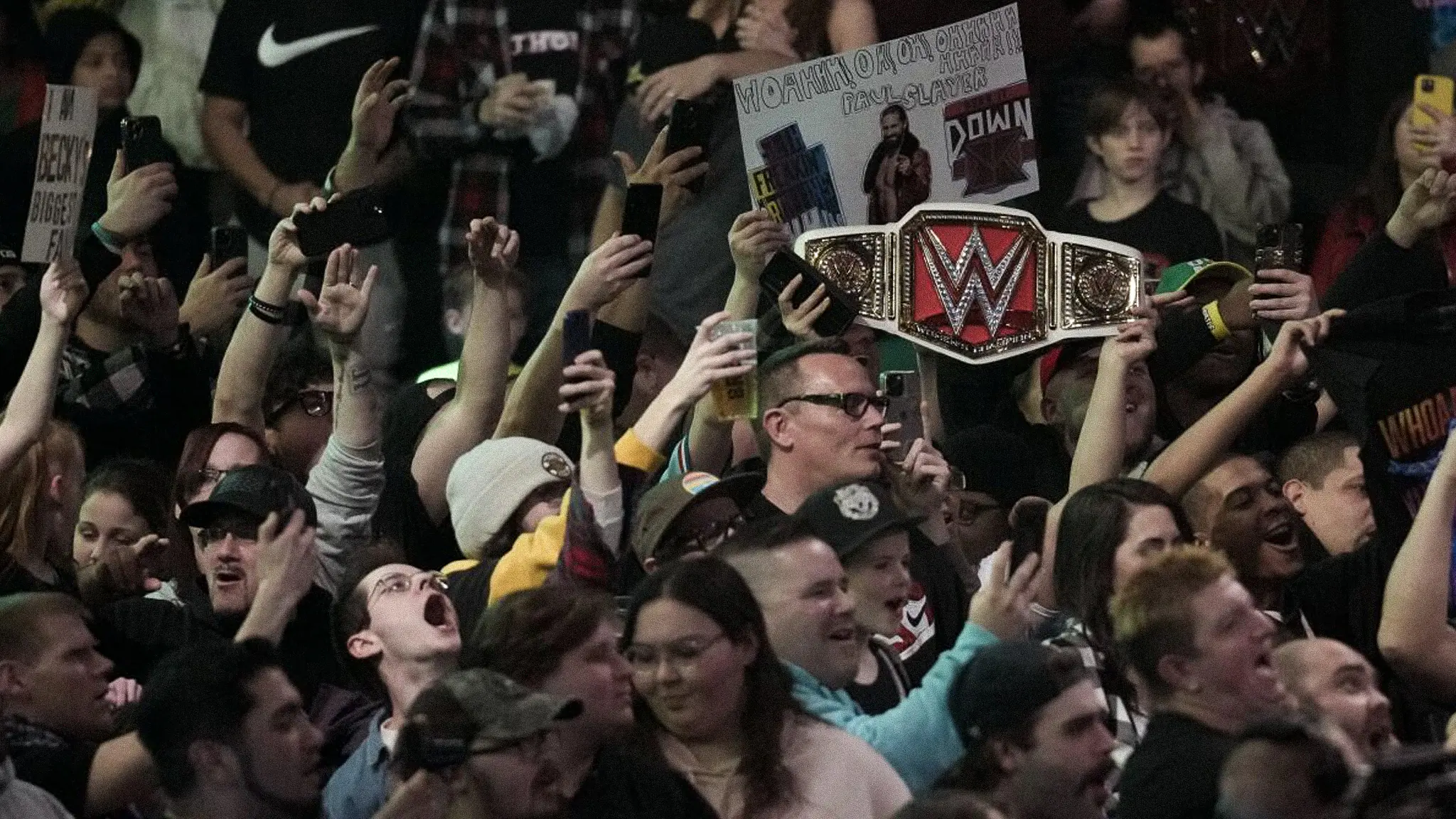 Pro Wrestling Fan