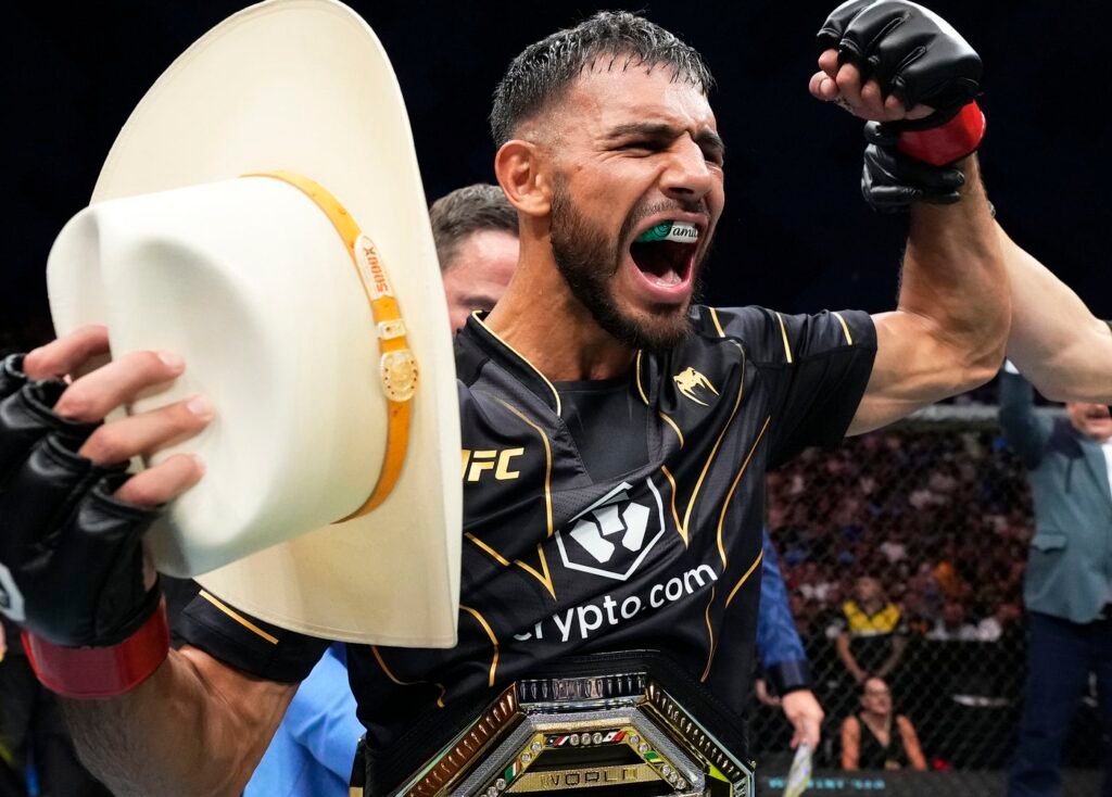 Interim UFC Champions