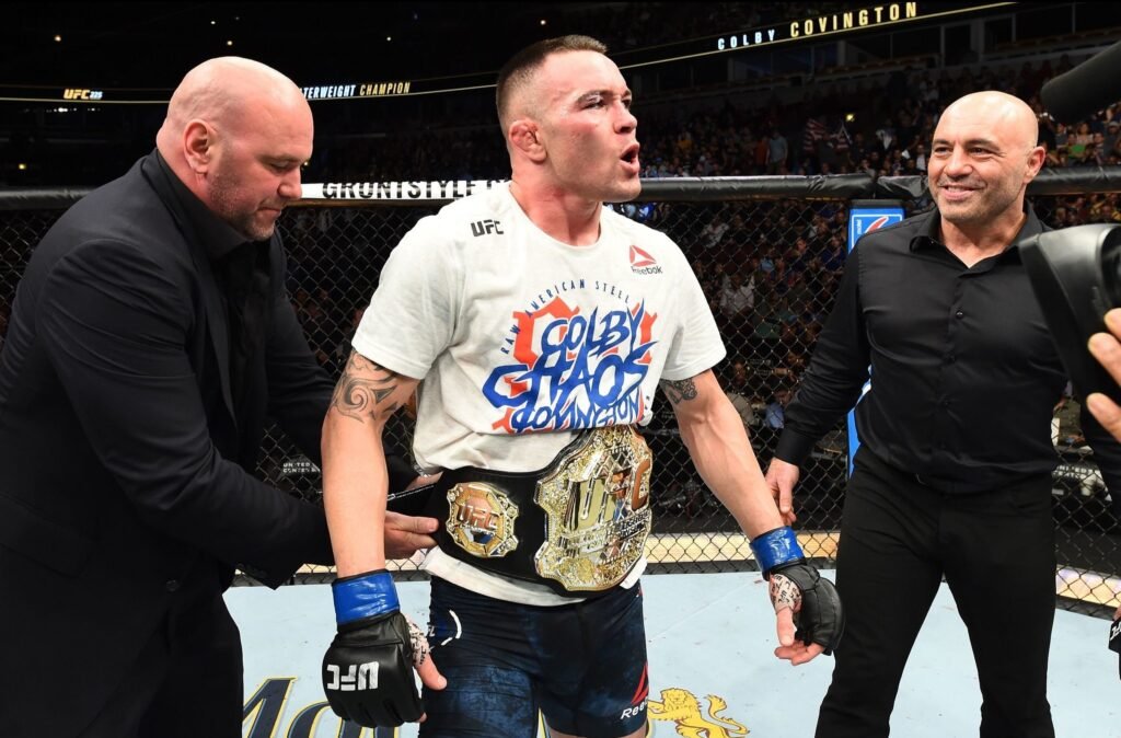 Interim UFC Champions