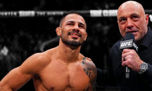 State of The UFC Flyweight Division
