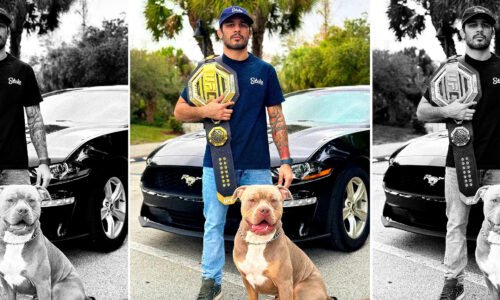Dogspotting Alexandre & Boone Pantoja