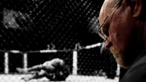 MMA Judging
