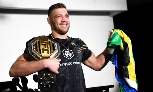State of The UFC Middleweight Division