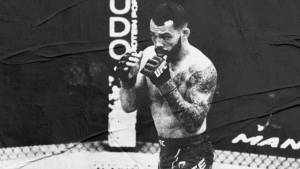 UFC 314