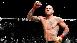 UFC 313