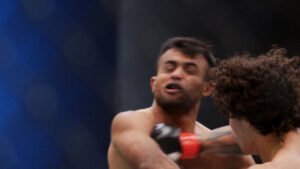 TUF 33