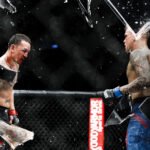 UFC 318