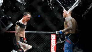 UFC 318