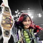WWE Evolution