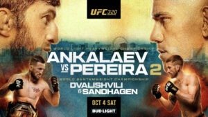 UFC 320