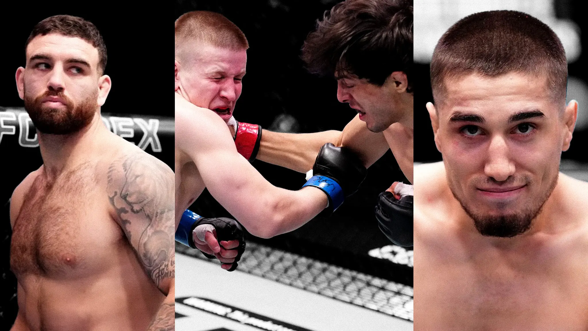 DWCS Season 9