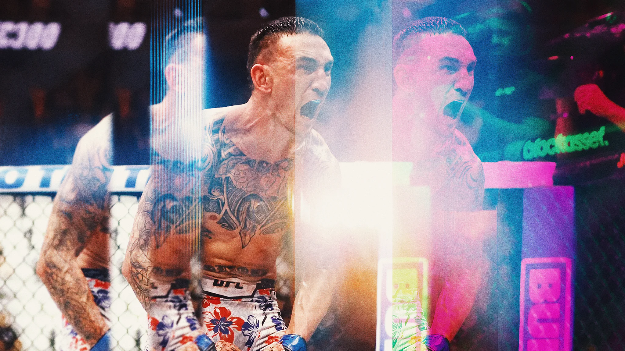 UFC 326