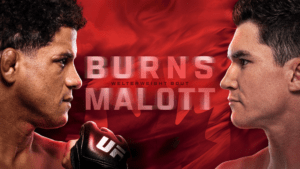 UFC Fight Night 273