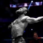 UFC 329