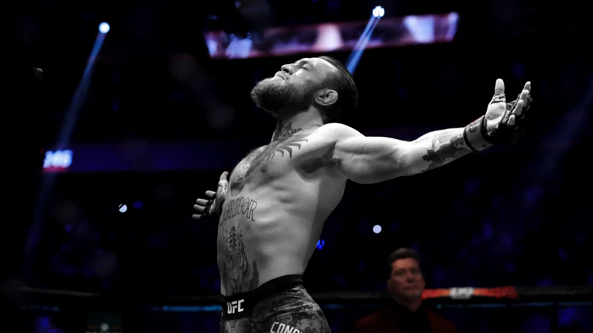 UFC 329