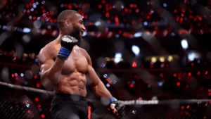 Netflix MMA
