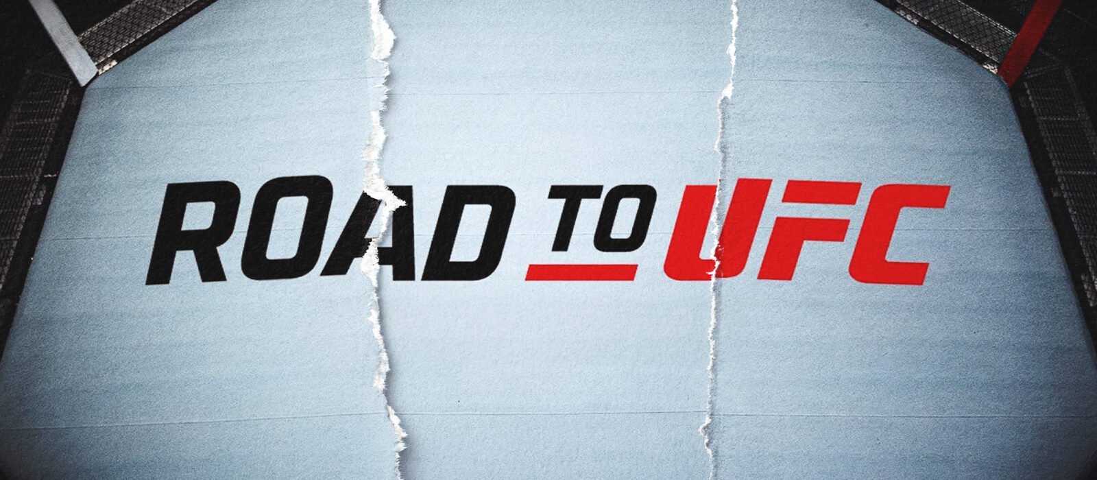 Road to UFC