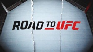 Road to UFC