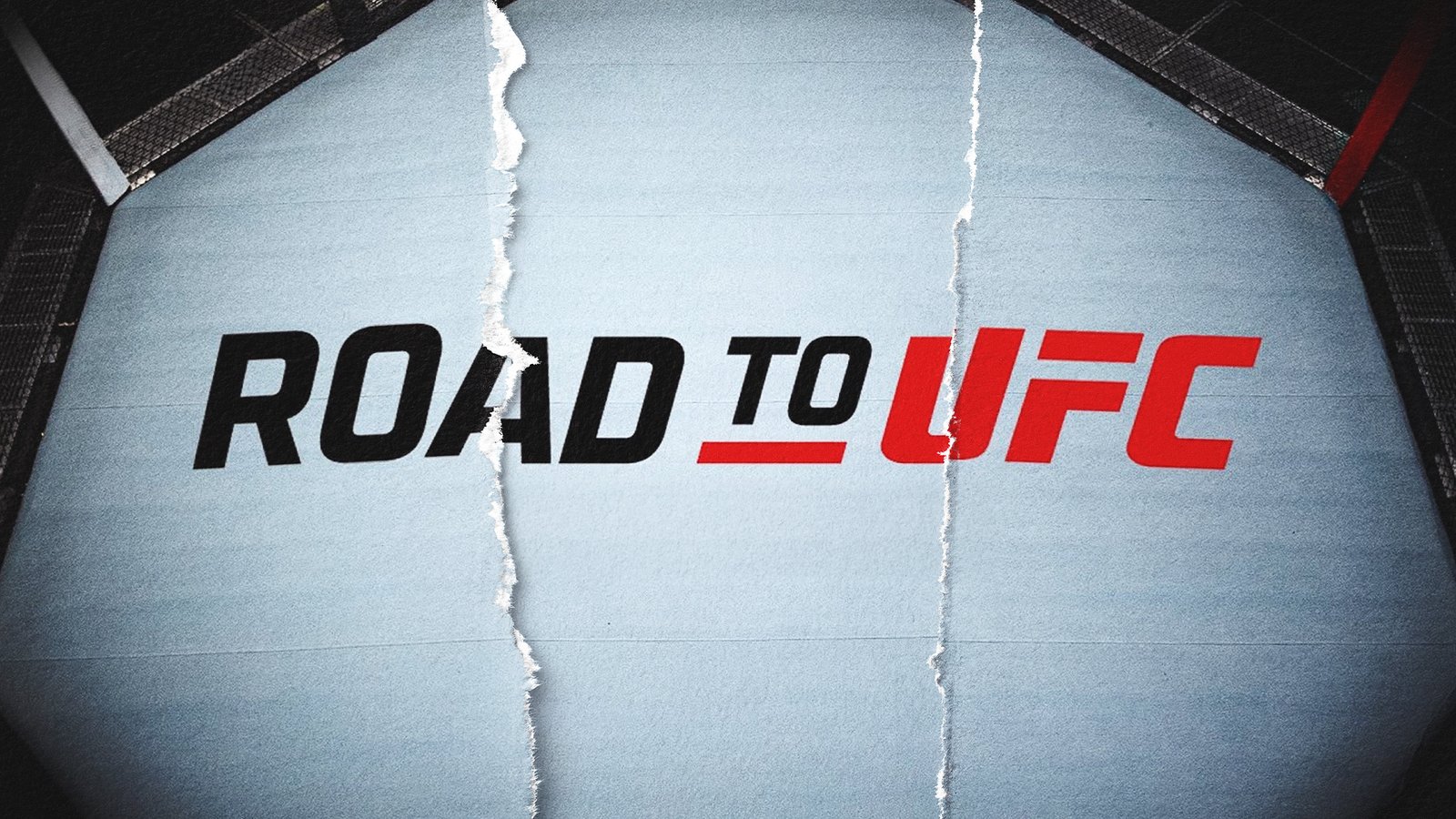 Road to UFC