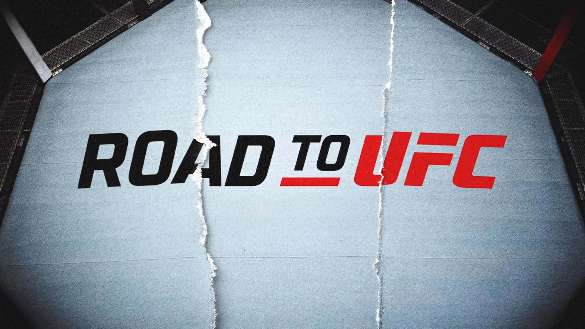 Road to UFC