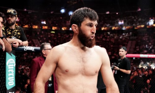 Everything You Need to Know About UFC Fight Night: Ankalaev vs. Rountree Jr.