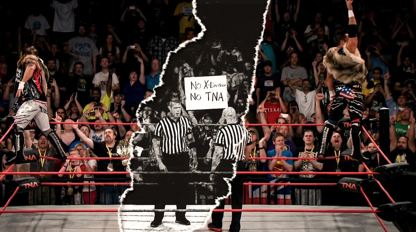 TNA X-Division