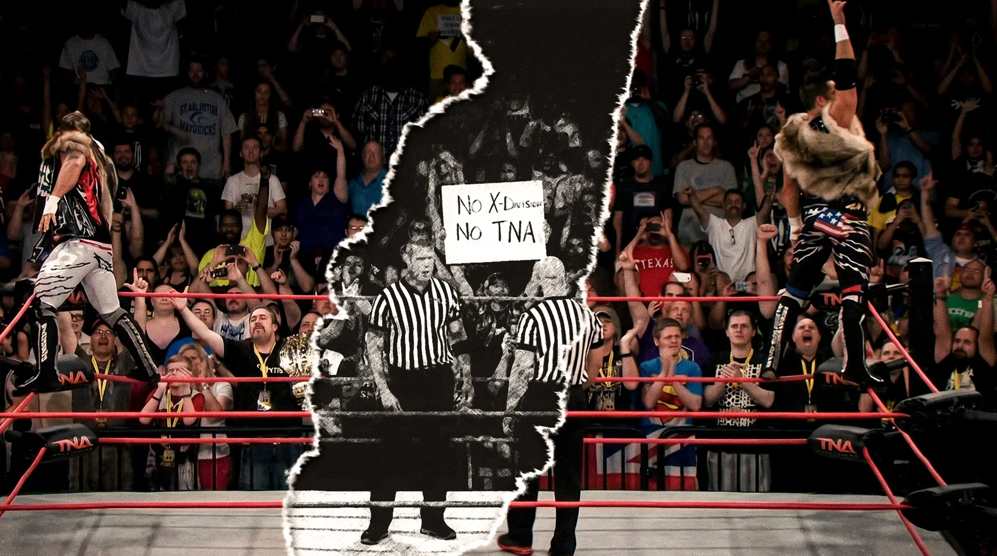 TNA X-Division