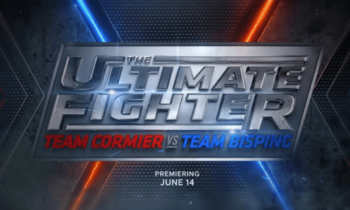 Meet the Cast of The Ultimate Fighter 34