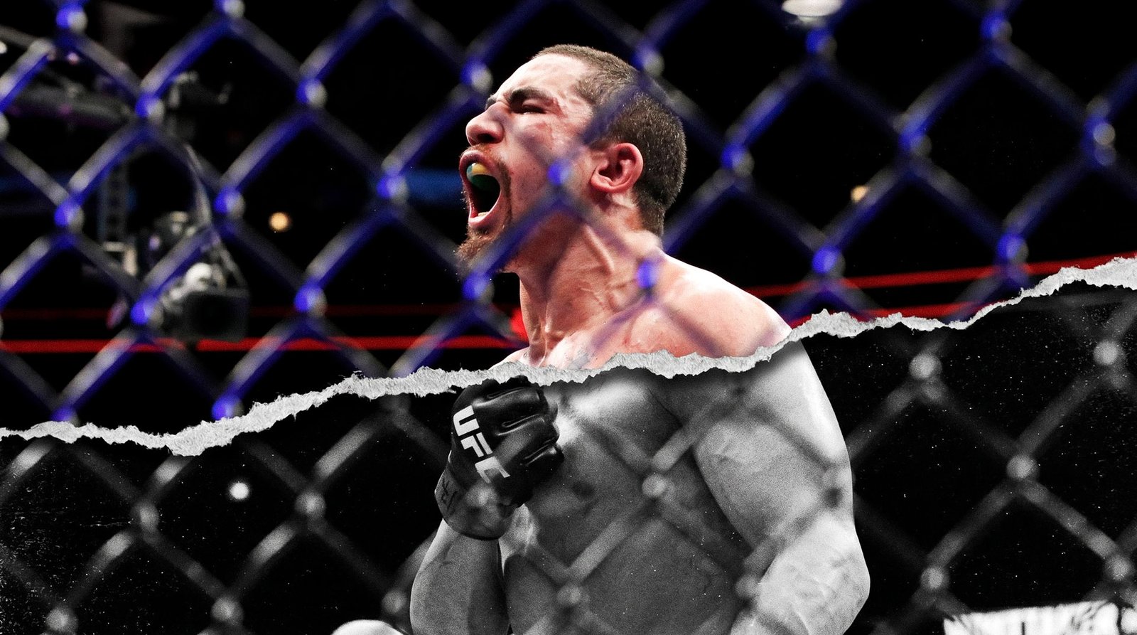 Robert Whittaker