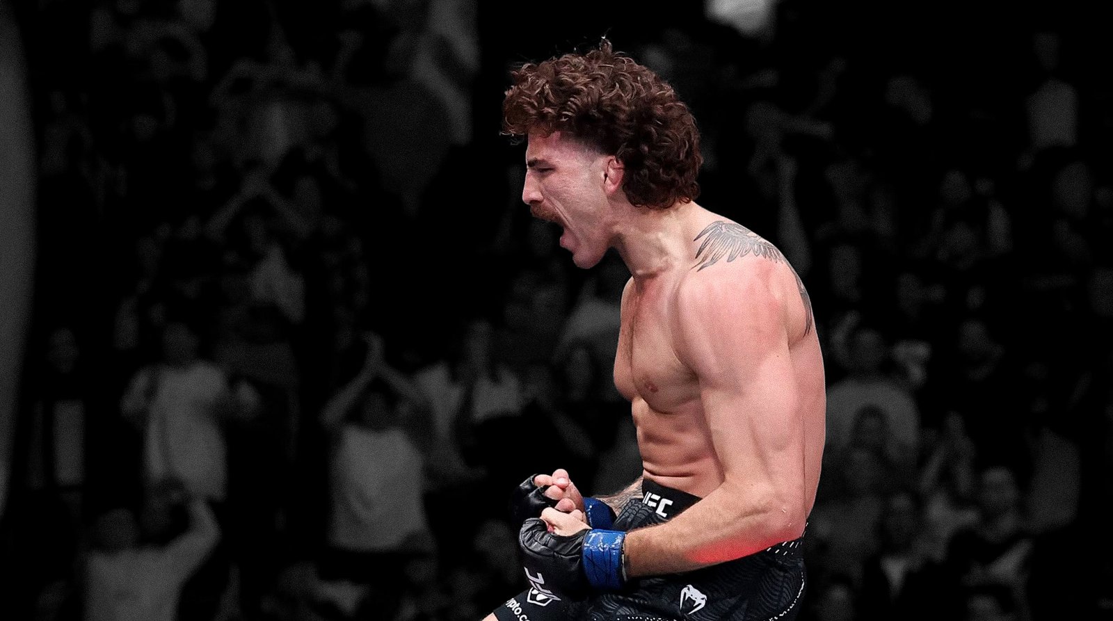 UFC Vegas 120