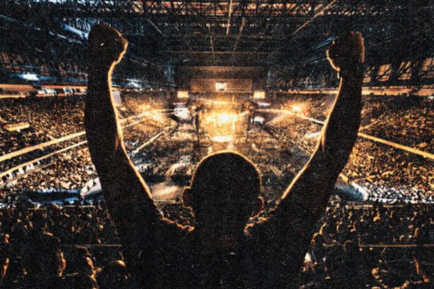 UFC Fans